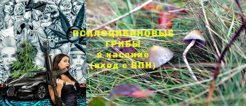 Псилоцибиновые грибы Magic Shrooms  Алапаевск 